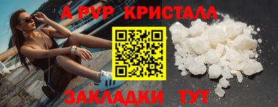 стафф Малгобек