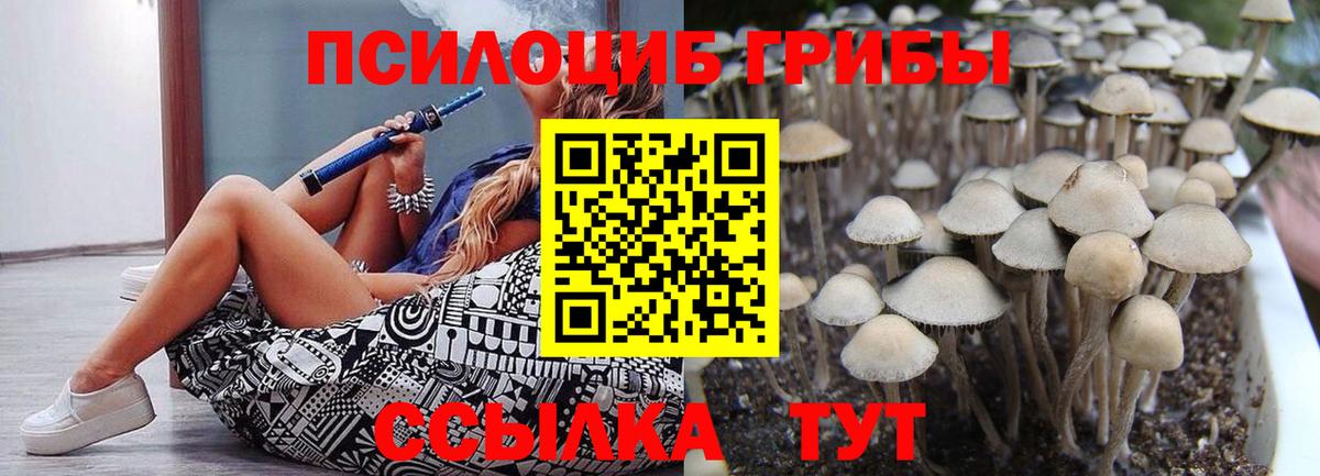 Псилоцибиновые грибы Magic Shrooms Сургут
