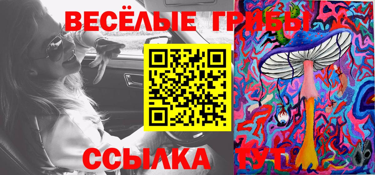 Сургут  Псилоцибиновые грибы Cubensis  магазин  наркотиков  Вход с VPN 